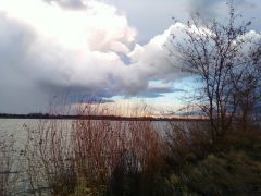 view along the columbia river in columbia park  Kennewick,WA.