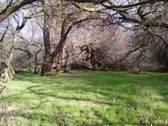 My favorite place in the yakima river delta near Richland,WA