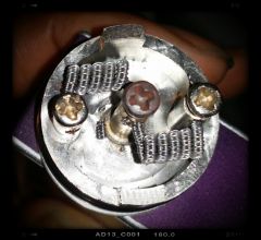 Dual Staggered Fused Claptons Top